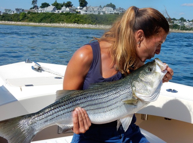 Sara's Parker River striper